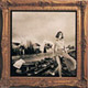 Permanent Waves